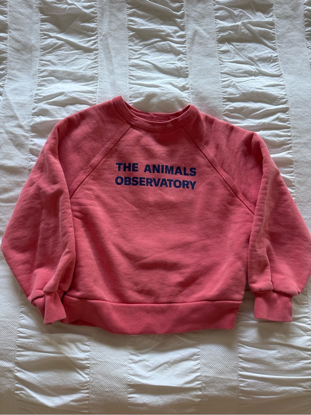 The animals observatory Pink Crewneck graphic Sweatshirt size 3